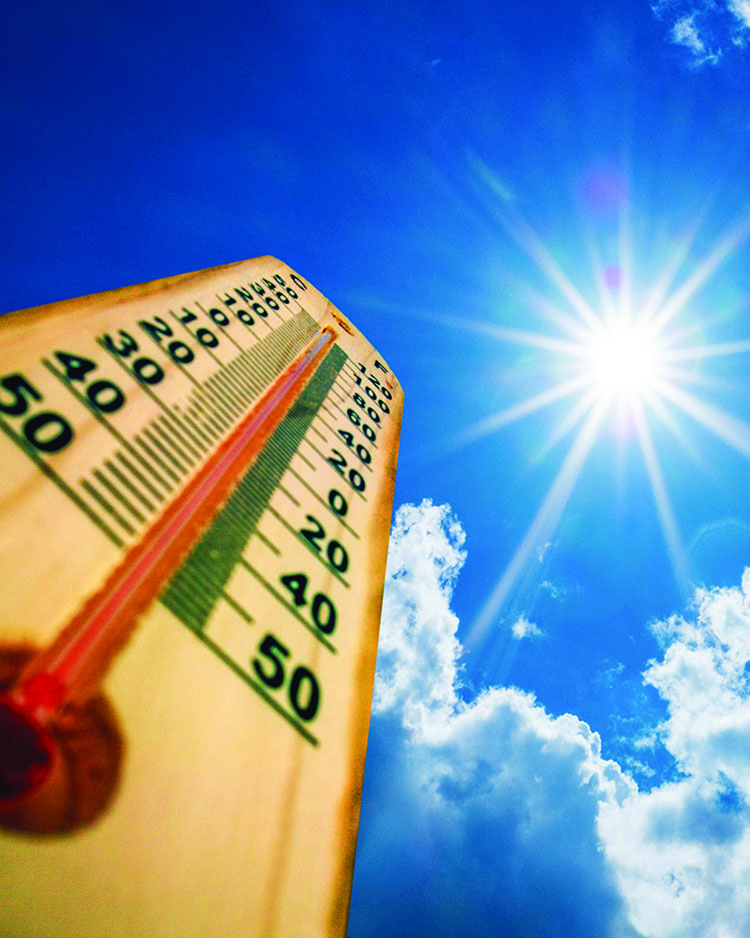 Surface Temperature vs. Air Temperature: Why It Matters