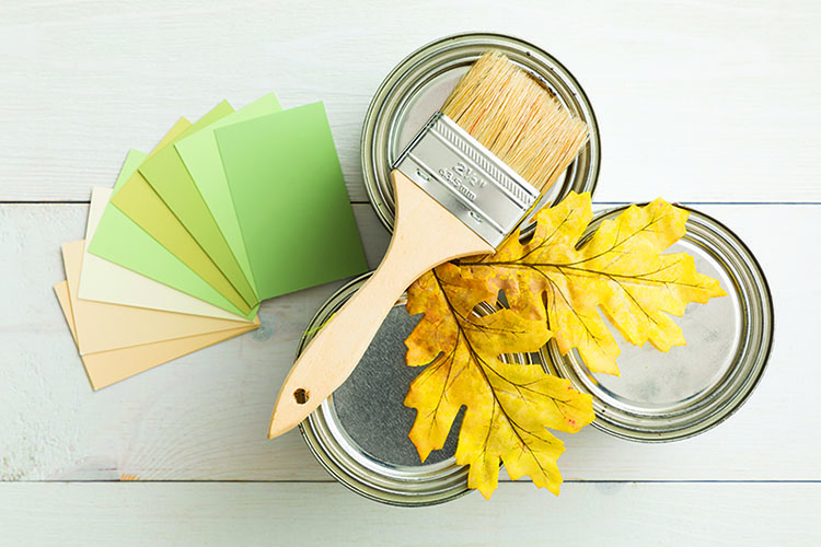 Why Hiring a Painter Is the Right Choice